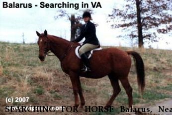 SEARCHING FOR HORSE Balarus, Near Bristol/Prince William, VA, 00000